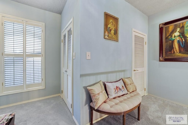 105 E Austin Ave, Harlingen, TX 78550 - sitting room featuring carpet flooring, a textured ceiling, and baseboards