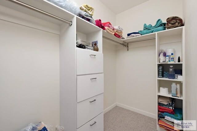 walk in closet featuring light carpet