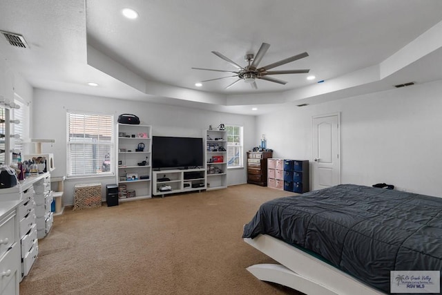 bedroom with multiple windows, a raised ceiling, and ceiling fan