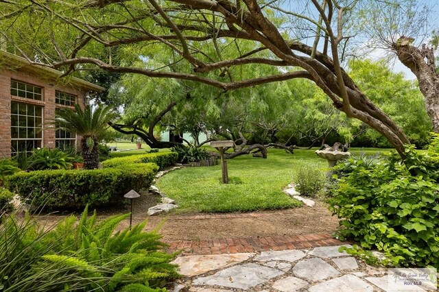 27603 Palo Verde Rd, San Benito, TX 78586 - view of yard
