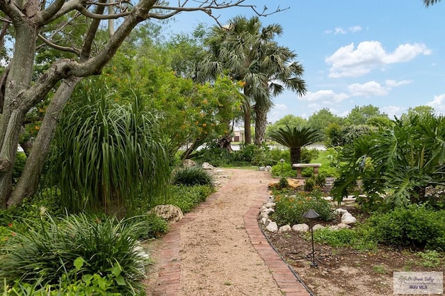 27603 Palo Verde Rd, San Benito, TX 78586 - view of surrounding community
