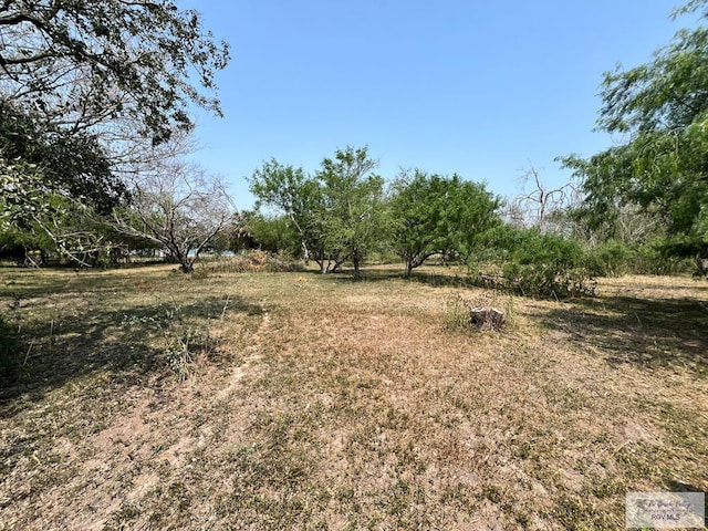 5790 Southmost Rd, Brownsville TX, 78521 land for sale