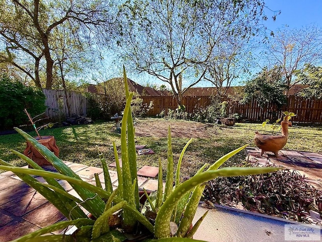 view of yard featuring a fenced backyard
