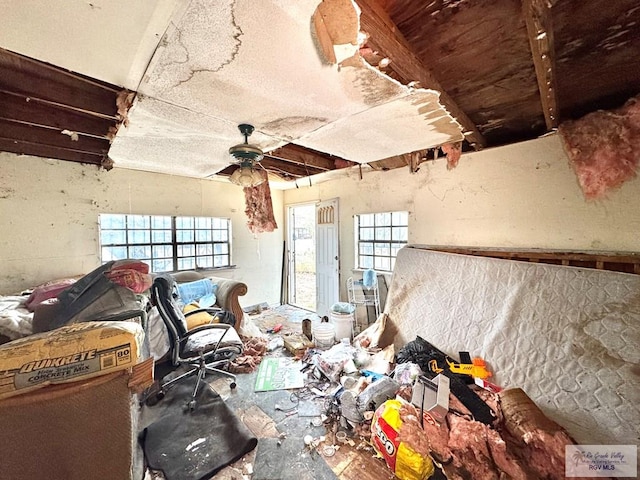 miscellaneous room featuring plenty of natural light and ceiling fan