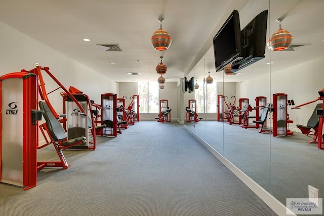 exercise room featuring carpet