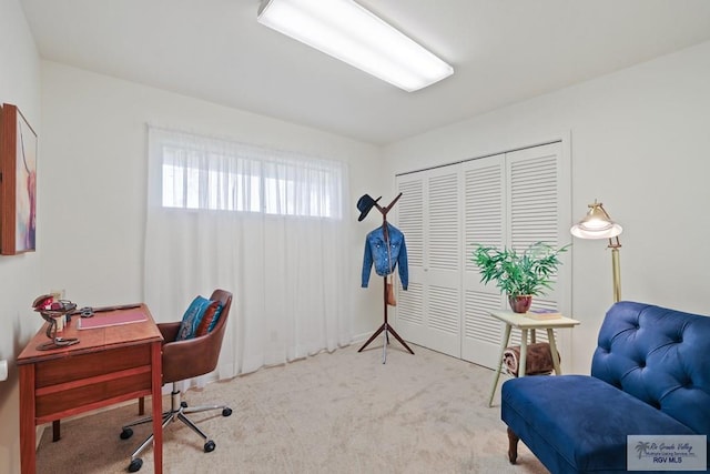 office featuring carpet flooring