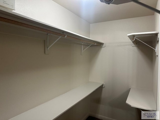 view of walk in closet