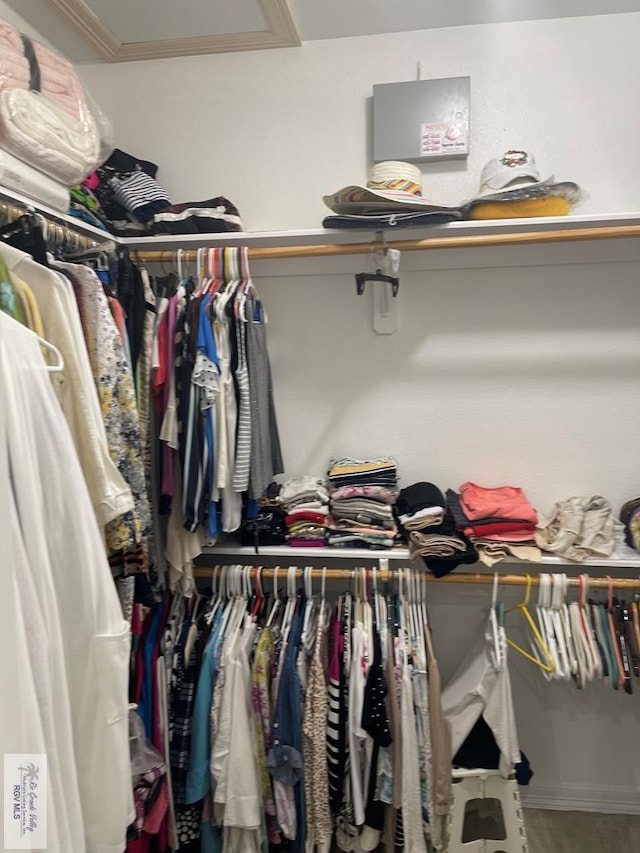 walk in closet featuring wood-type flooring