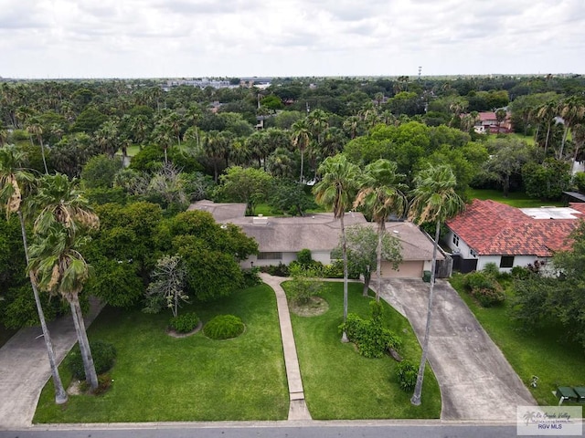 aerial view