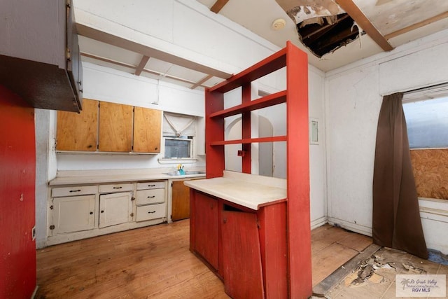 kitchen with light hardwood / wood-style flooring