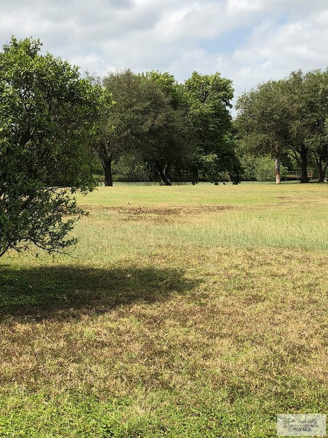 view of local wilderness featuring a rural view