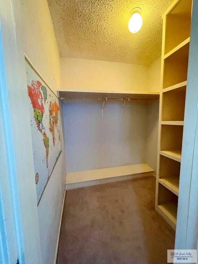 walk in closet with carpet floors