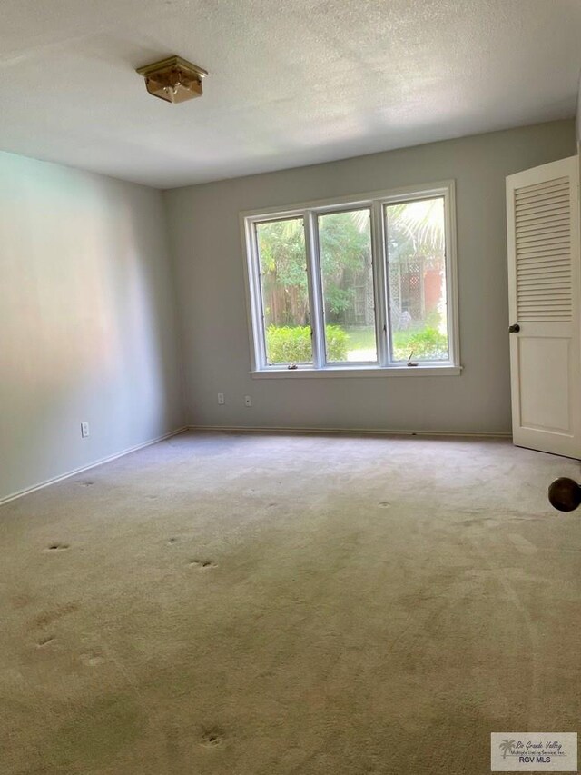 spare room featuring light colored carpet and a textured ceiling