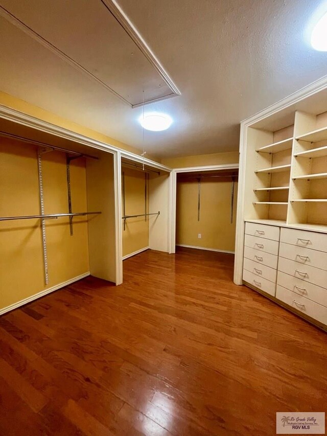 walk in closet featuring wood-type flooring