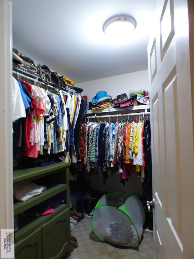 3319 Country Club Dr, Edinburg, TX 78542 - view of walk in closet