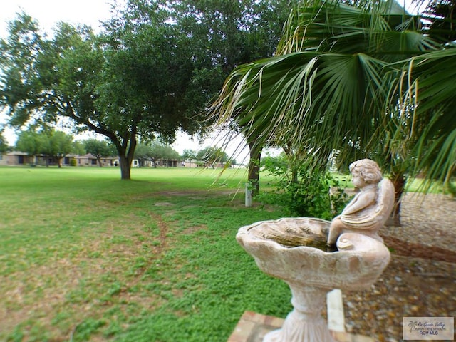 3319 Country Club Dr, Edinburg, TX 78542 - view of grassy yard