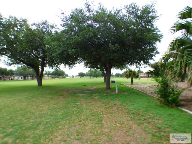 3319 Country Club Dr, Edinburg, TX 78542 - view of grassy yard