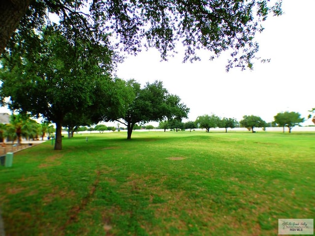 3319 Country Club Dr, Edinburg, TX 78542 - view of green lawn