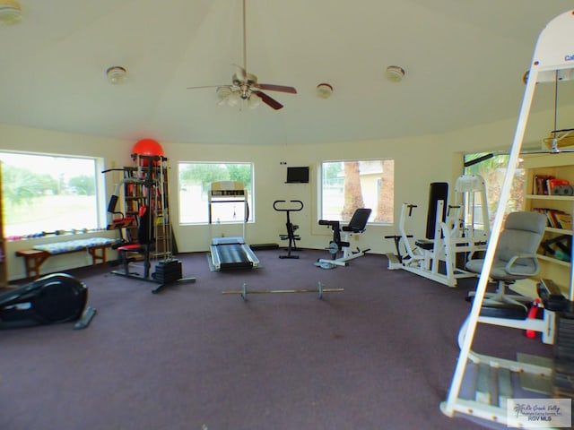 3319 Country Club Dr, Edinburg, TX 78542 - workout area with lofted ceiling, a ceiling fan, and healthy amount of natural light