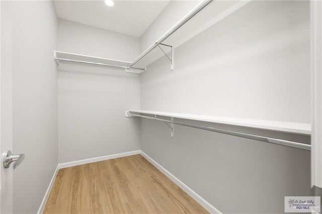 walk in closet featuring hardwood / wood-style floors