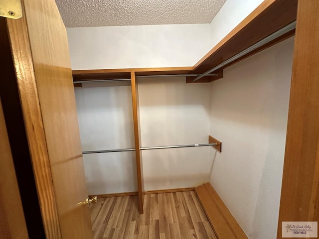 walk in closet featuring light hardwood / wood-style flooring