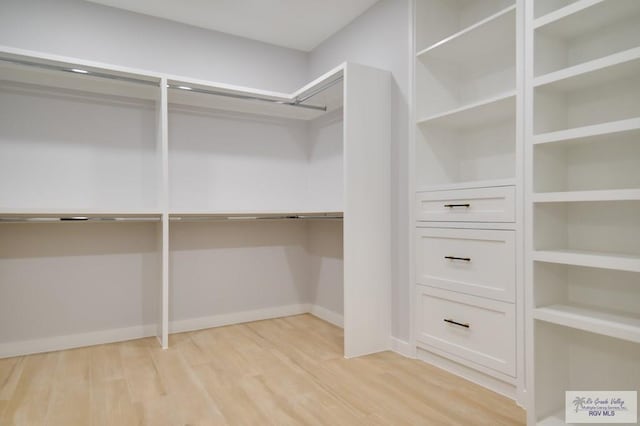 walk in closet with hardwood / wood-style flooring