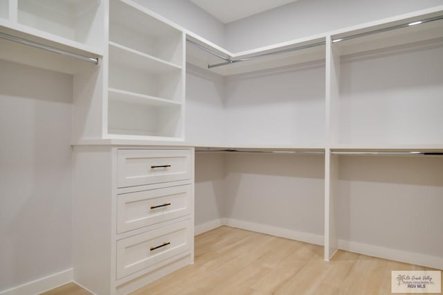 walk in closet featuring light hardwood / wood-style floors