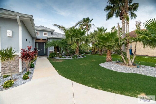 38 Spoonbill Cove Rd, Laguna Vista, TX 78578 - view of green lawn