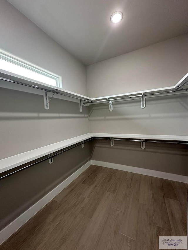 spacious closet featuring dark hardwood / wood-style flooring