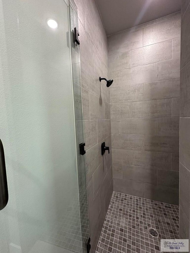 bathroom featuring a shower with shower door