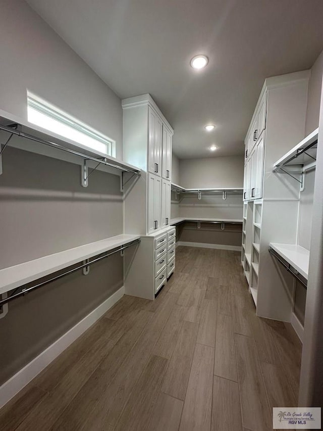 walk in closet with wood-type flooring