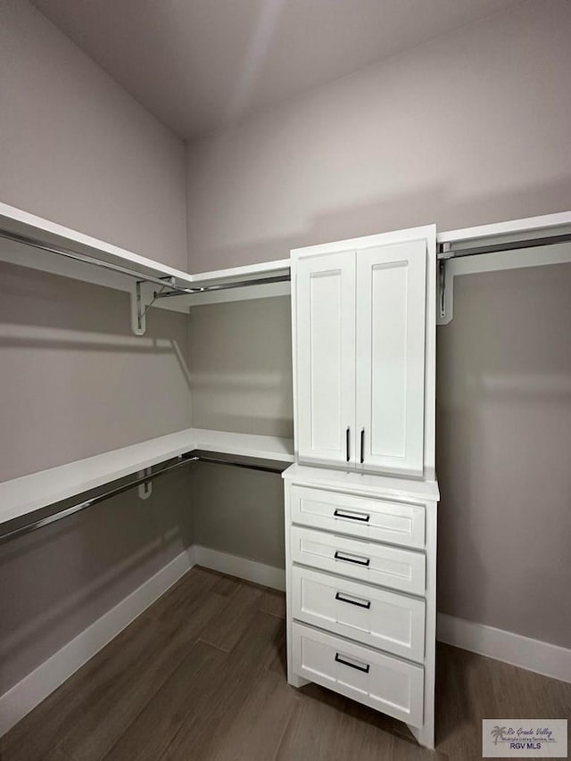 walk in closet with dark hardwood / wood-style floors