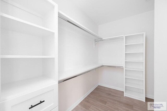 walk in closet with light wood-type flooring