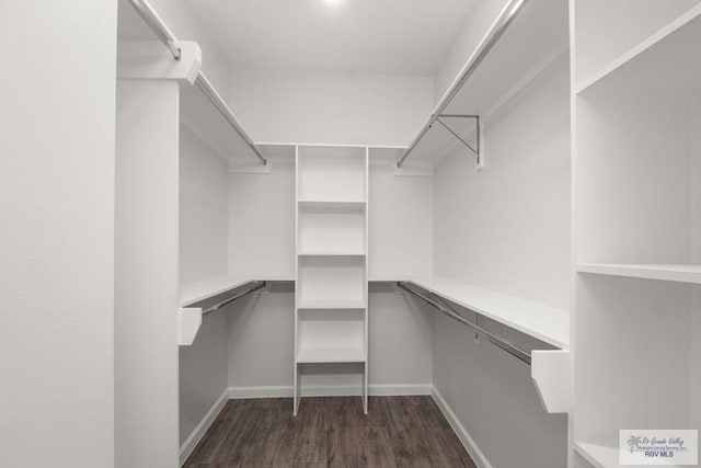 walk in closet with dark wood-style floors