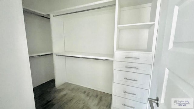 spacious closet with hardwood / wood-style floors