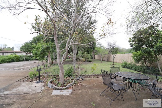 view of yard featuring a patio