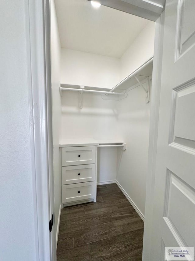 walk in closet featuring dark wood-type flooring