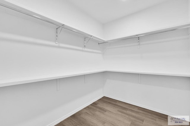 walk in closet featuring wood finished floors