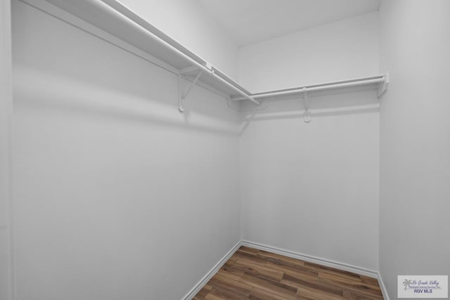 spacious closet featuring dark hardwood / wood-style floors