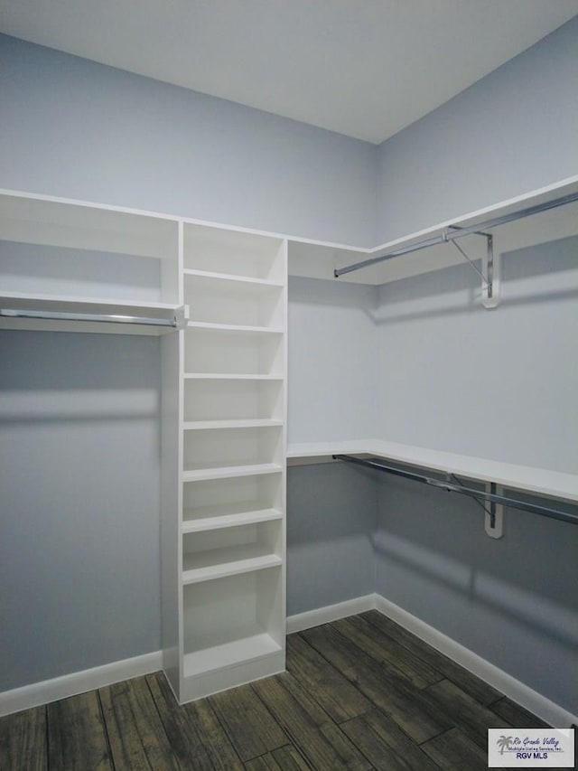 spacious closet featuring dark hardwood / wood-style floors