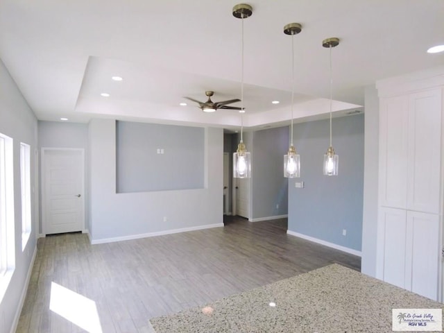 spare room featuring a raised ceiling, hardwood / wood-style floors, and ceiling fan