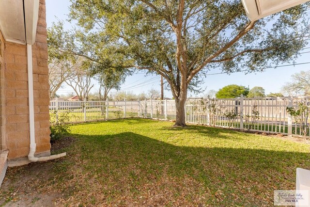 405 E Matz Ave, Harlingen, TX 78550 - view of yard