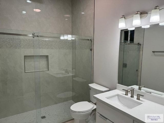 bathroom with toilet, a shower stall, and vanity