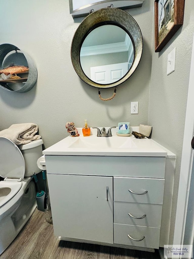 bathroom featuring hardwood / wood-style floors, vanity, and toilet