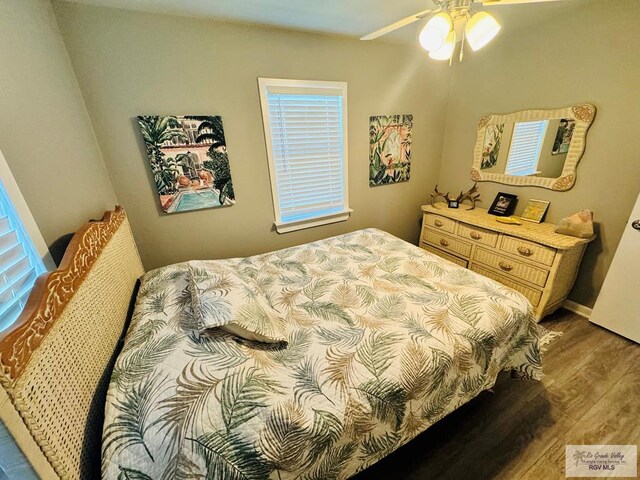 bedroom featuring multiple windows, ceiling fan, and wood-type flooring