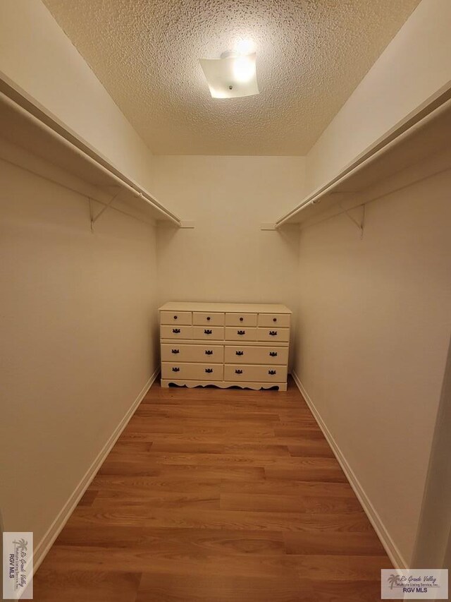 walk in closet featuring light wood-type flooring