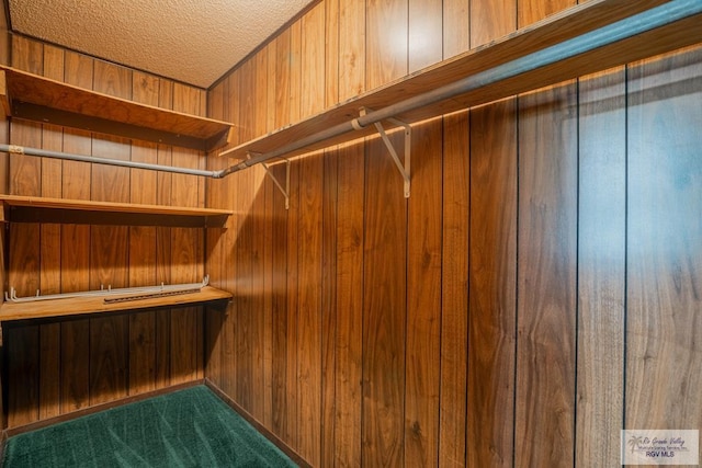 19863 Tilden Rd, San Benito, TX 78586 - walk in closet with carpet floors