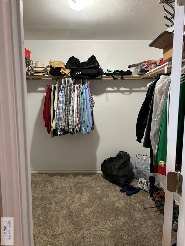 810 E Robin Ave Unit 53, Harlingen, TX 78550 - walk in closet featuring carpet floors