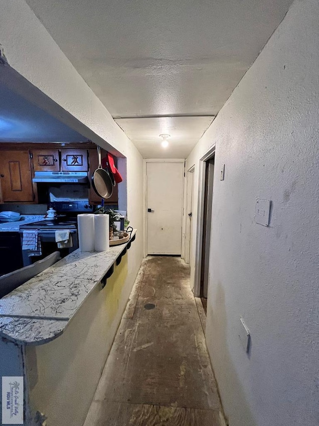 10730 Tampa Ave, Santa Rosa, TX 78593 - photo 10
