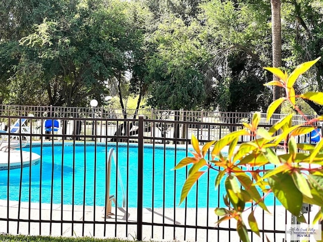 2901 Central Blvd Unit 306, Brownsville, TX 78520 - community pool with view of scattered trees